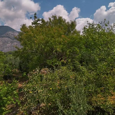 Appartamento Lalic - A Spacious Three Bedroom With A Sea View *